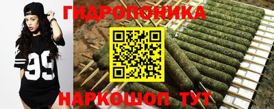 гидра Заволжье