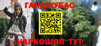 гидра Заволжье