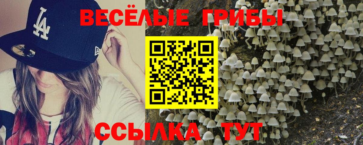 Псилоцибиновые грибы Psilocybine cubensis  Вход с VPN  Лыткарино 